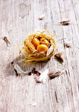 Paskalya arka yuva ile