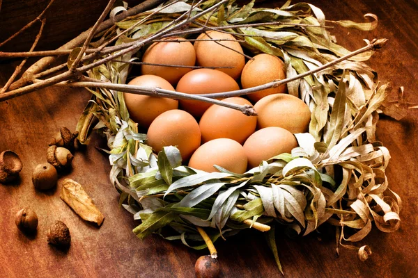 Huevos de Pascua en el nido —  Fotos de Stock