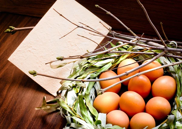 Huevos de Pascua en el nido —  Fotos de Stock