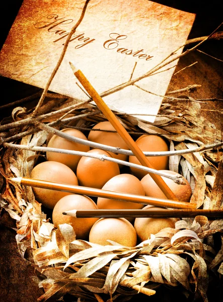 Easter Eggs in the nest — Stock Photo, Image