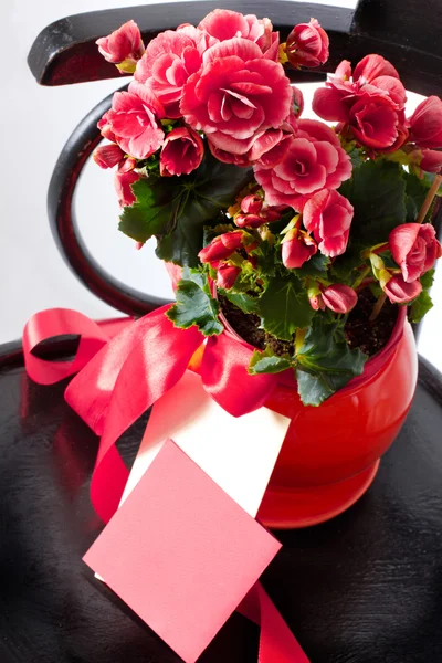 Holiday bouquet of red flowers on black chear — Stock Photo, Image