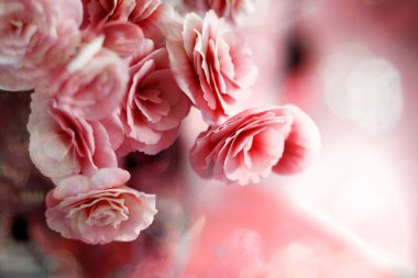 güzel güller ile Vintage kartpostal