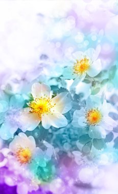 güzel bahar çiçekleri ve bulanıklık arka plan.