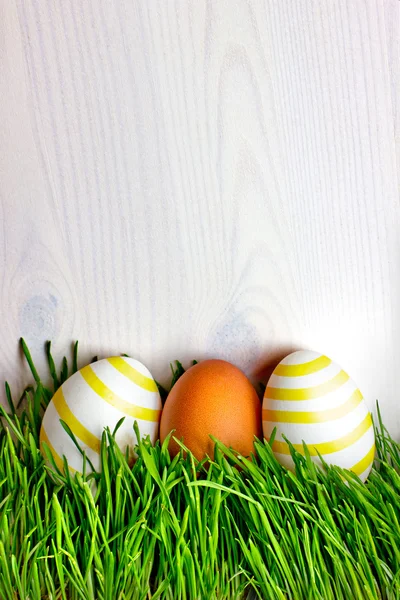 Çimlerin üzerinde paskalya yumurtası — Stok fotoğraf