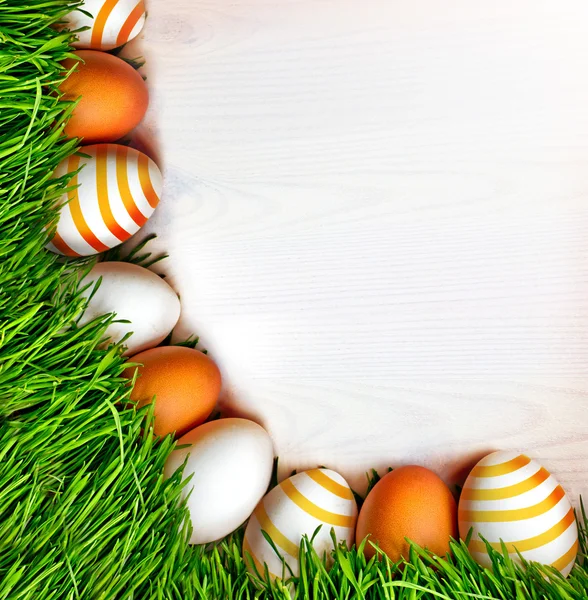 Jaja wielkanocne na trawie — Zdjęcie stockowe