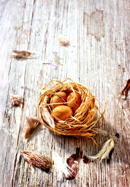 Пасхальный фон с гнездом, яйцами и перьями на деревянном текстурном столе — стоковое фото