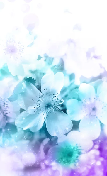 Beautiful spring background with flowers and blur. — Stock Photo, Image