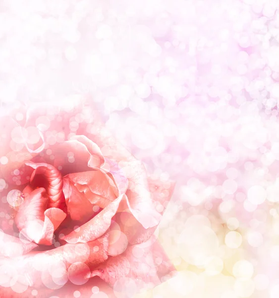 아름 다운 장미와 빈티지 엽서 — 스톡 사진