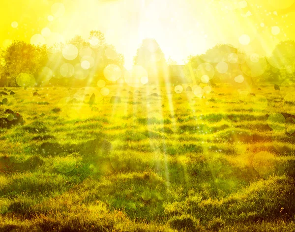 Öko-Natur mit Sonnenstrahl, grüne Landschaft Hintergrund mit Sonnenschein — Stockfoto