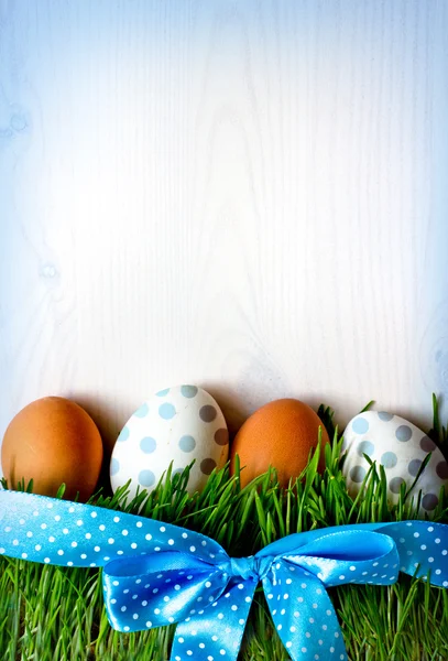 Velikonoční vajíčka na trávě Stock Obrázky
