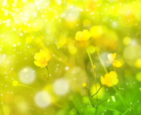 alan çiçek, düğün çiçeği