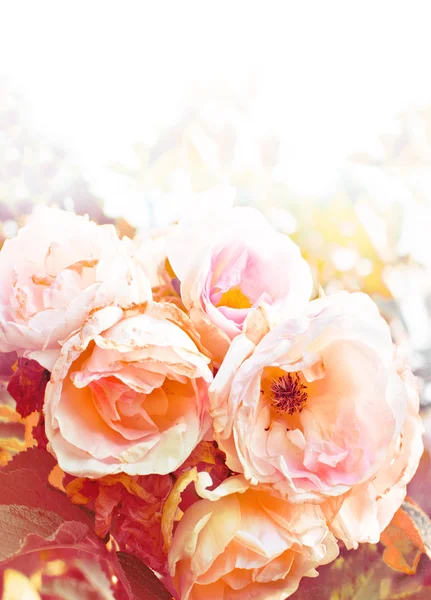 Fundo bela primavera com flores cor de rosa — Fotografia de Stock