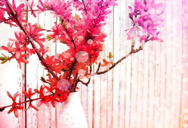 ピンクの花と美しい春の背景 — ストック写真