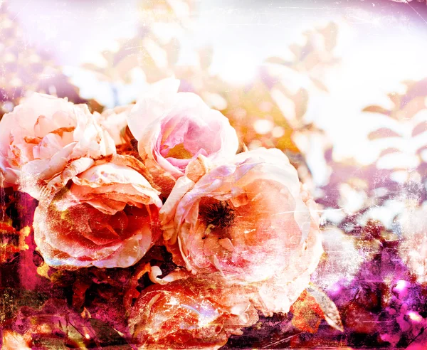 Bellissimo sfondo primavera con fiori rosa — Foto Stock