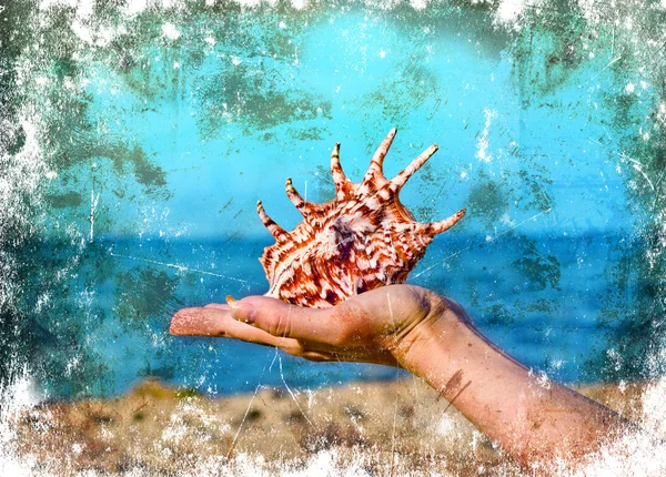 Vintage pearl necklaces and seashell with grunge texture — Stock Photo, Image