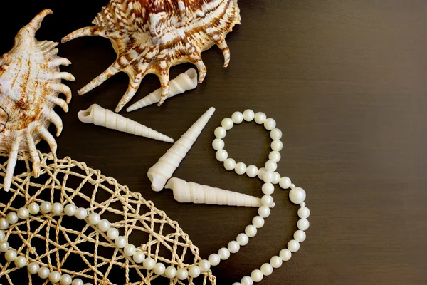 Pearl necklace and seashel on the black table — Stock Photo, Image