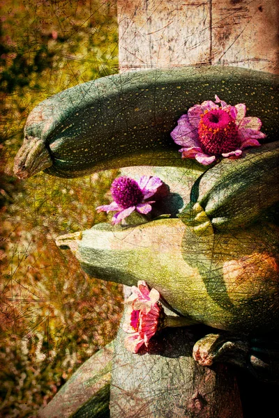 Vintage foto met de oogst van courgette met bloemen — Stockfoto