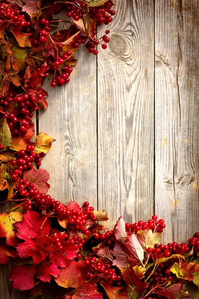 Quadro de outono de ashberry e folhas de bordo em placas de madeira com textura grunge — Fotografia de Stock