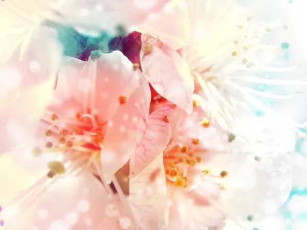 6 065 346 Flower Background Stock Photos Free Royalty Free Flower Background Images Depositphotos
