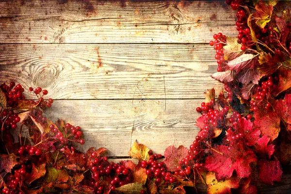 Podzimní rám z Jeřabina a javor listy na dřevěných desek s texturou, grunge Royalty Free Stock Fotografie