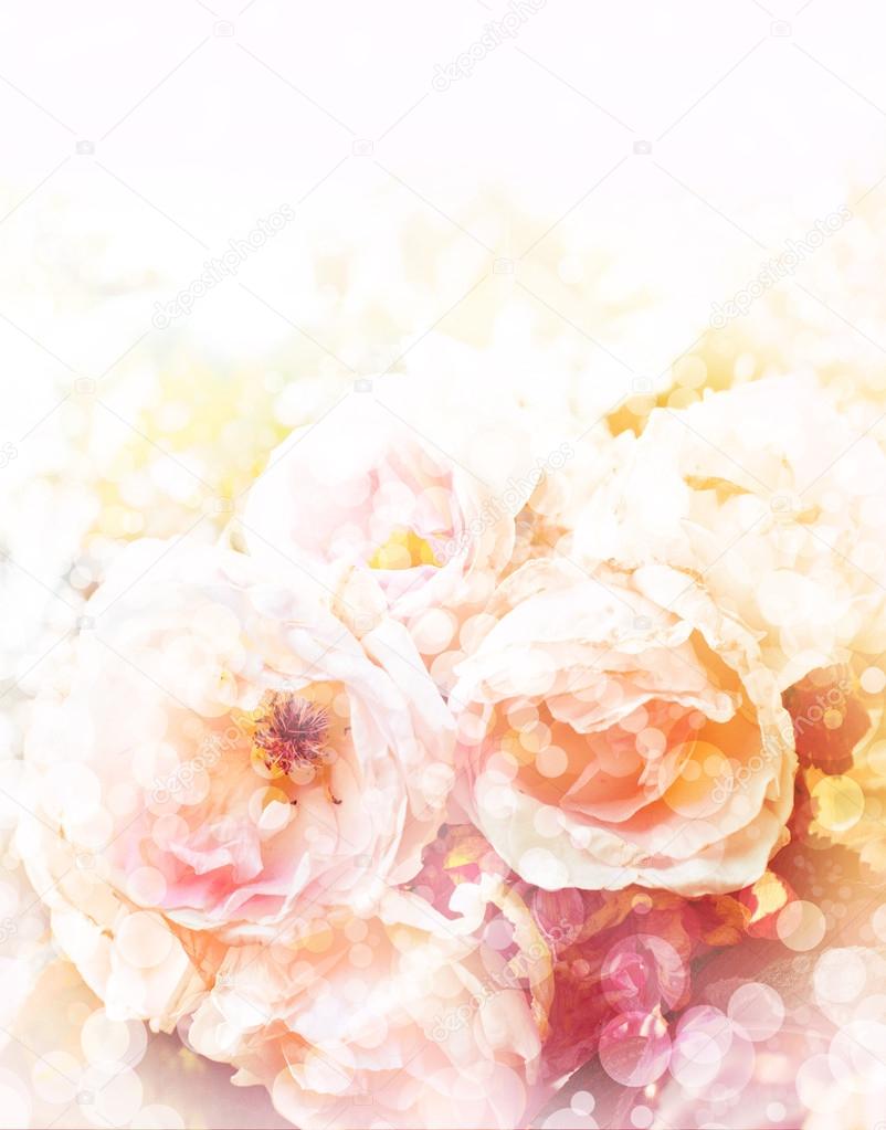Beautiful spring background with pink flowers