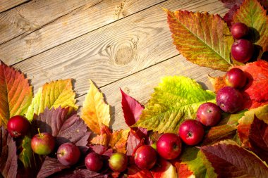 Vintage sonbahar sınır elma ve düşen yapraklar eski ahşap tablo.