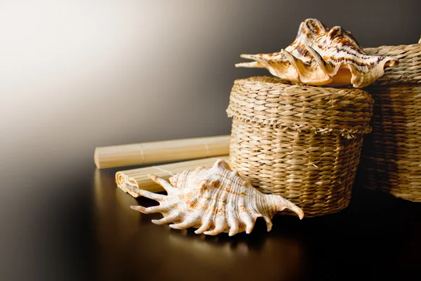 Vintage pearl necklaces and seashell — Stock Photo, Image