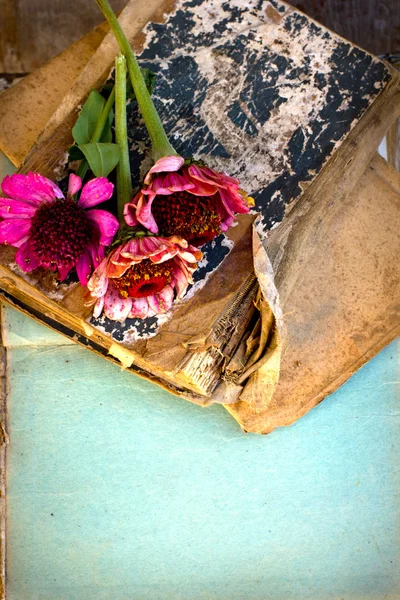 Изображение цветов, лежащих на старинных книгах — стоковое фото