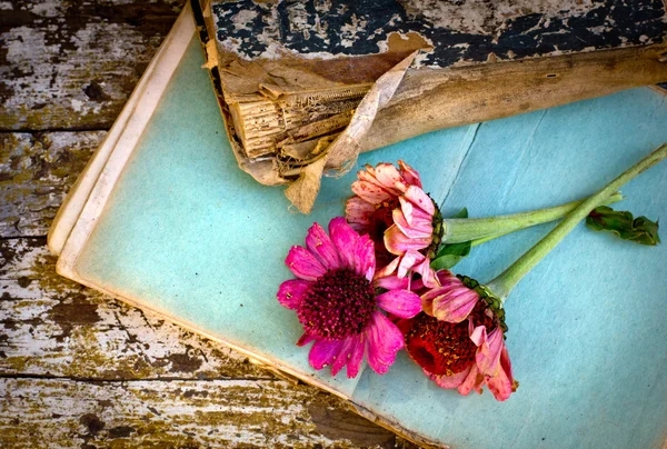 Obrázek květin, ležící na starožitné knihy — Stock fotografie