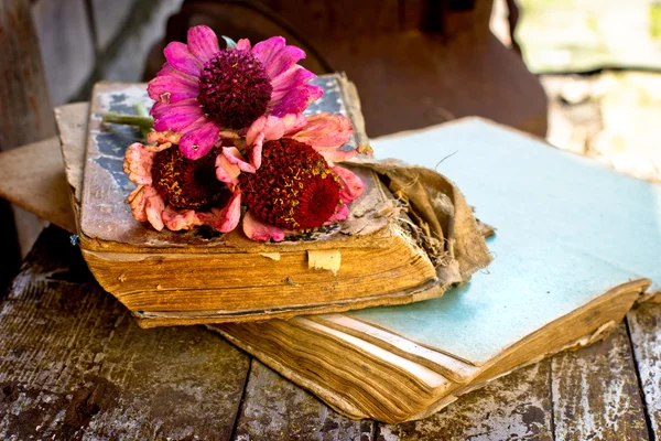 Picture of a flowers lying on an antique books — Stock Photo, Image