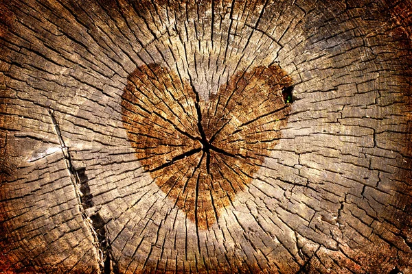 Alla hjärtans dag koncept på trä bakgrund — Stockfoto