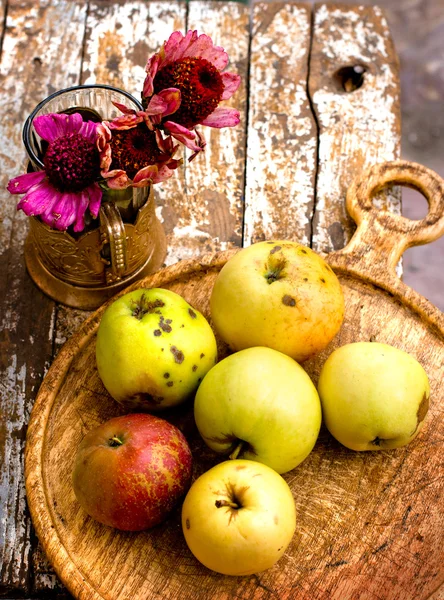 Autumn still life — Stock Photo, Image