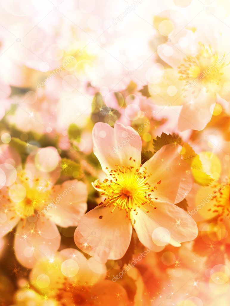 Small Fresh Spring Flowers Hd Background Backgrounds | PSD Free Download -  Pikbest, image size:772x1024
