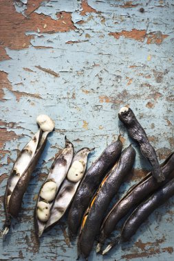 fasulye bakla ve tohum