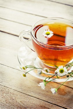 Papatya çayı fincan