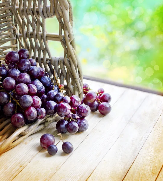 Uvas en cesta — Foto de Stock