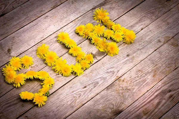 Gelbe Löwenzahne bilden Wort "Sonne"" — Stockfoto