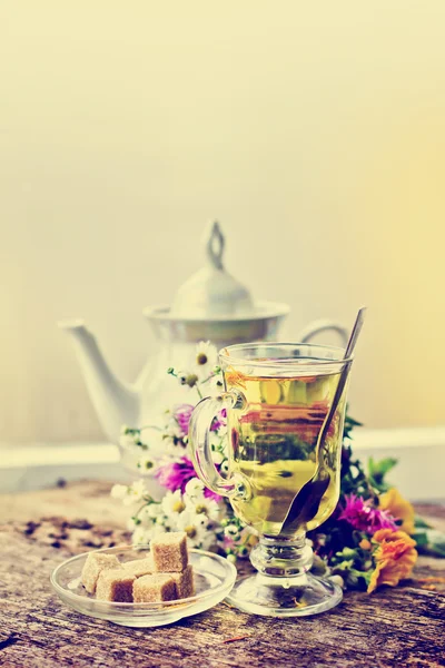 Chá de ervas saudável fresco — Fotografia de Stock
