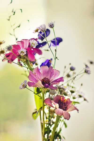 Bloemen boeket — Stockfoto