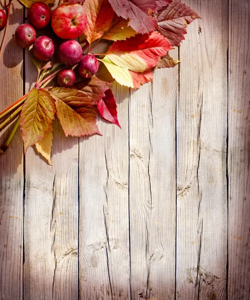 Jablka a spadané listí pozadí — Stock fotografie