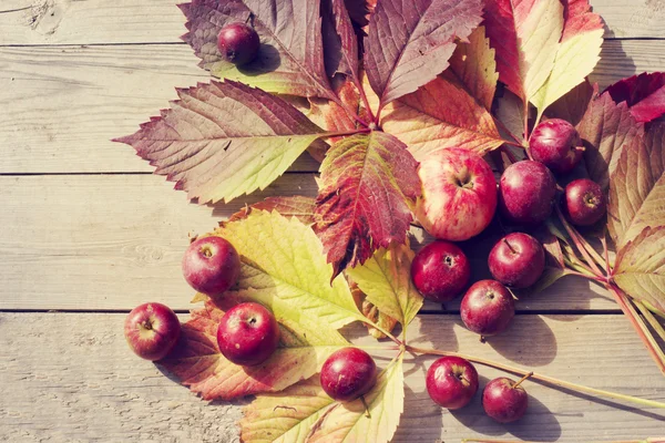 Осенние листья и текстура яблок — стоковое фото