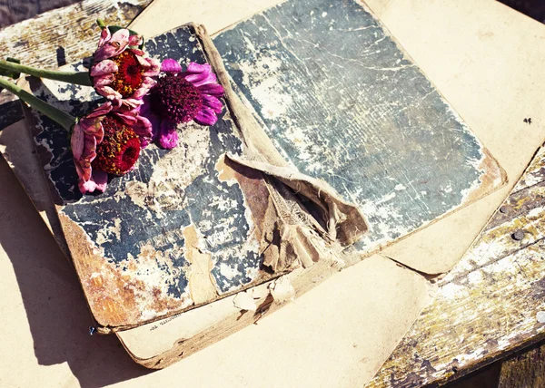 Gerberas on antique books — Stock Photo, Image