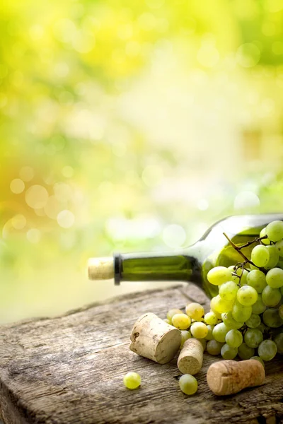 Láhev bílého vína, hroznového a zátky — Stock fotografie