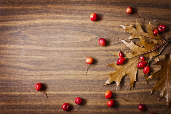 Foglie e bacche sfondo — Foto Stock