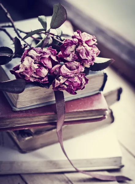 Suchý růže a knihy — Stock fotografie