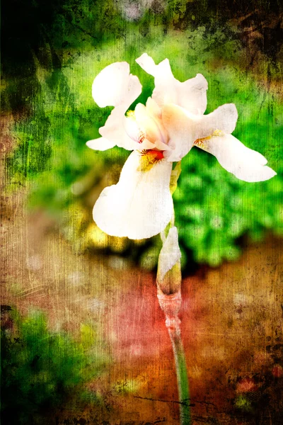 Beautiful spring background with pink flowers and purple blurs — Stock Photo, Image