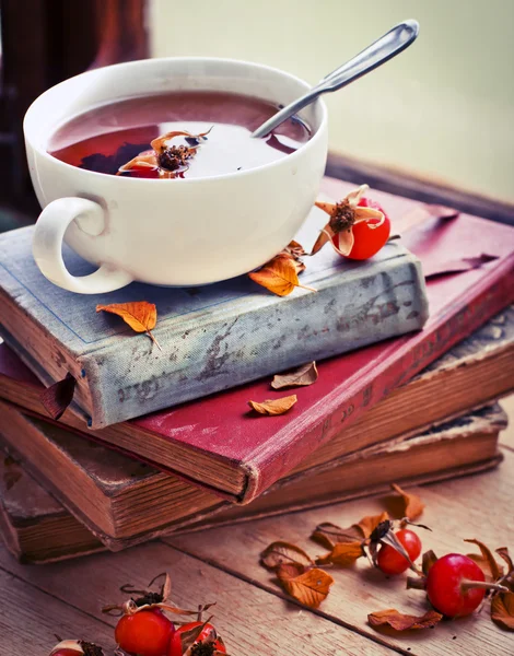 Herbata Dzika róża na starych książek — Zdjęcie stockowe