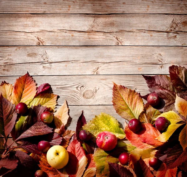 Осенние листья и текстура яблок — стоковое фото