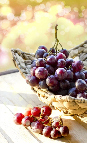 Delicious grapes on plate — Stock Photo, Image