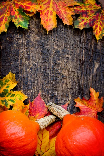 Hojas de otoño y calabazas backgroun — Foto de Stock